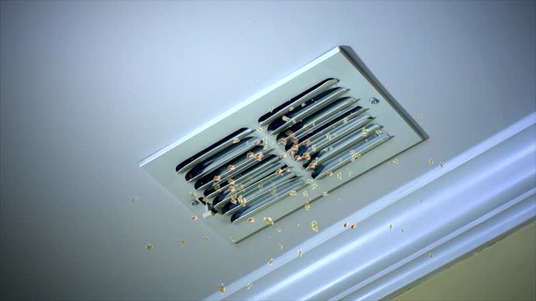 Best General Air Duct Cleaning  in Hillsboro, WI